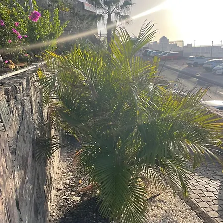 Sunny Modern - Sea View And Access Apartament Taurito